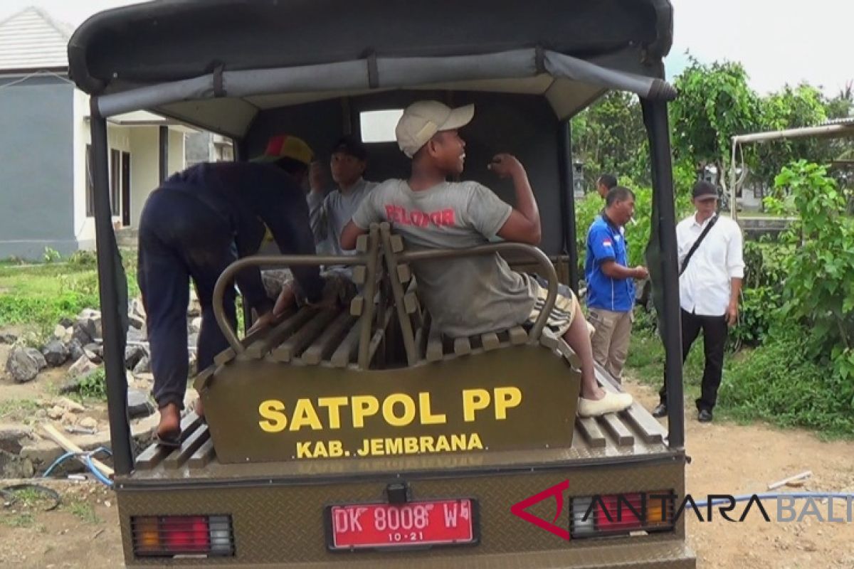 Satpol PP Jembrana razia belasan penduduk pendatang