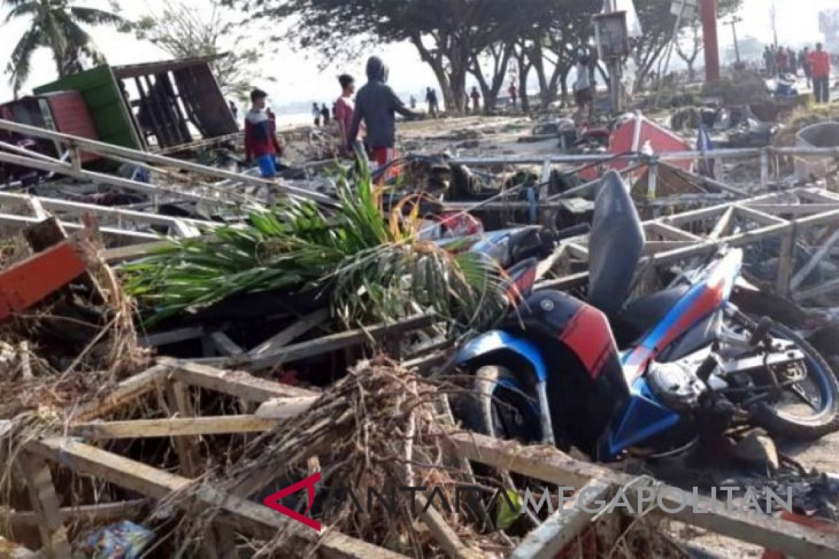 Citra satelit untuk cari titik terparah terdampak gempa di Palu