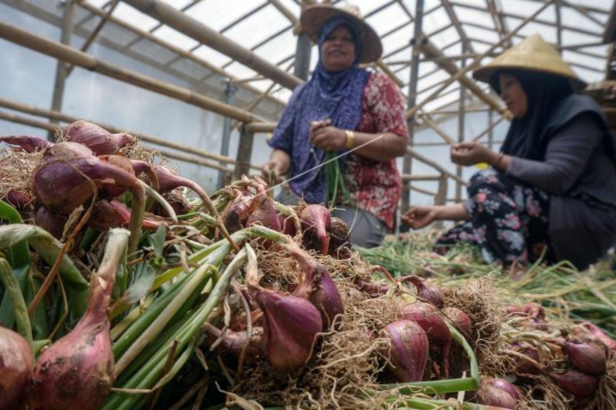 Natal dan tahun baru, Jateng jamin harga komoditas pangan stabil