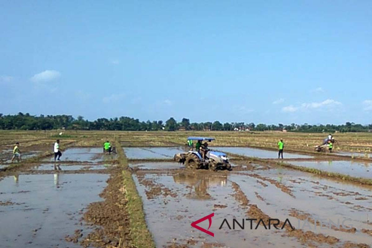 Mulai hujan, petani irigasi diimbau percepat tanam padi