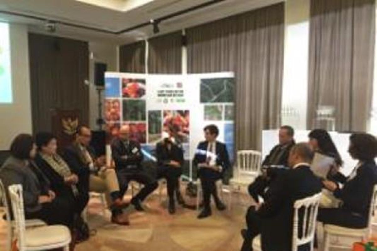 Pengusaha RI-Prancis dialog bisnis kelapa sawit
