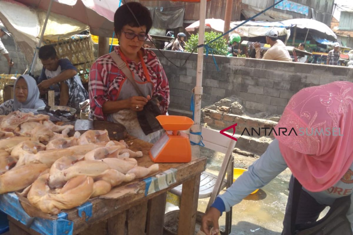 Harga daging ayam potong turun