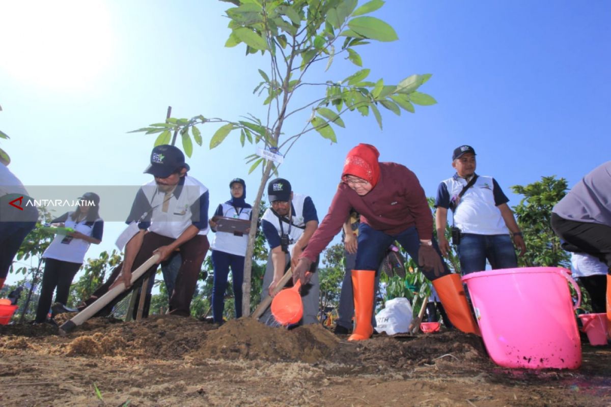 Risma Bersama Delegasi UCLG Tanam Pohon di Taman Harmoni Surabaya