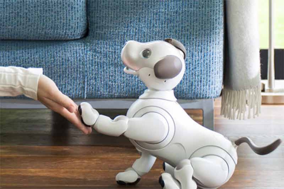 Robot anjing Aibo punya memori dan kenali 100 wajah manusia