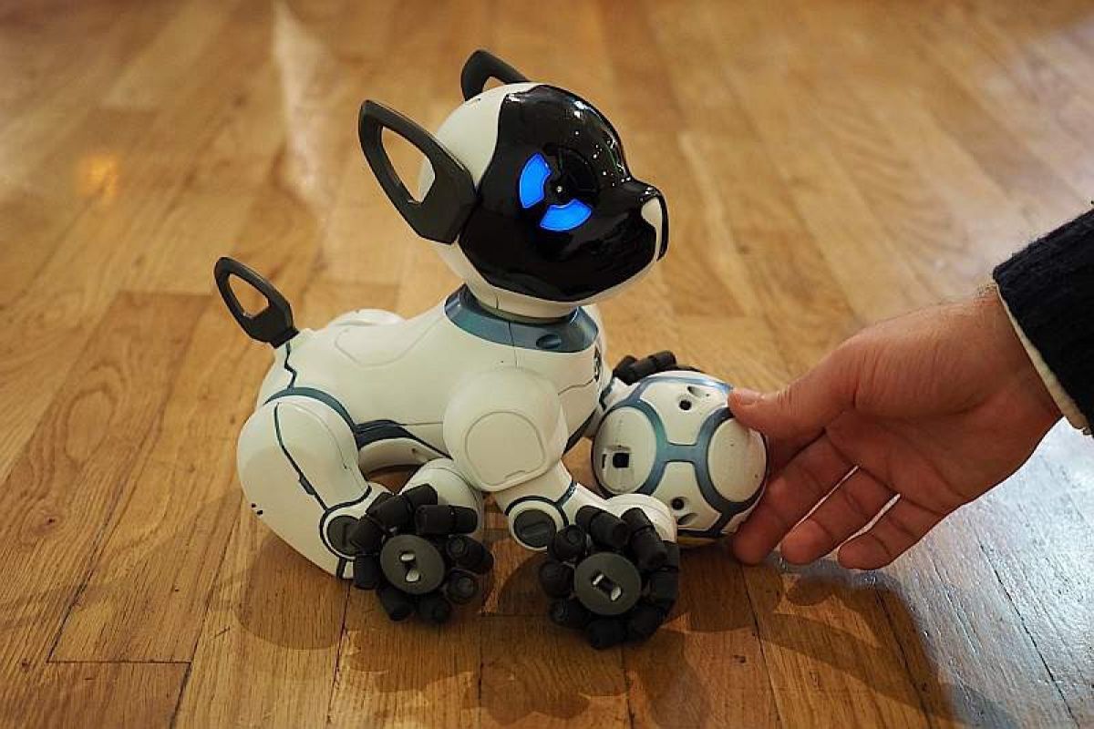 Robot anjing ini mampu kenali 100 wajah manusia