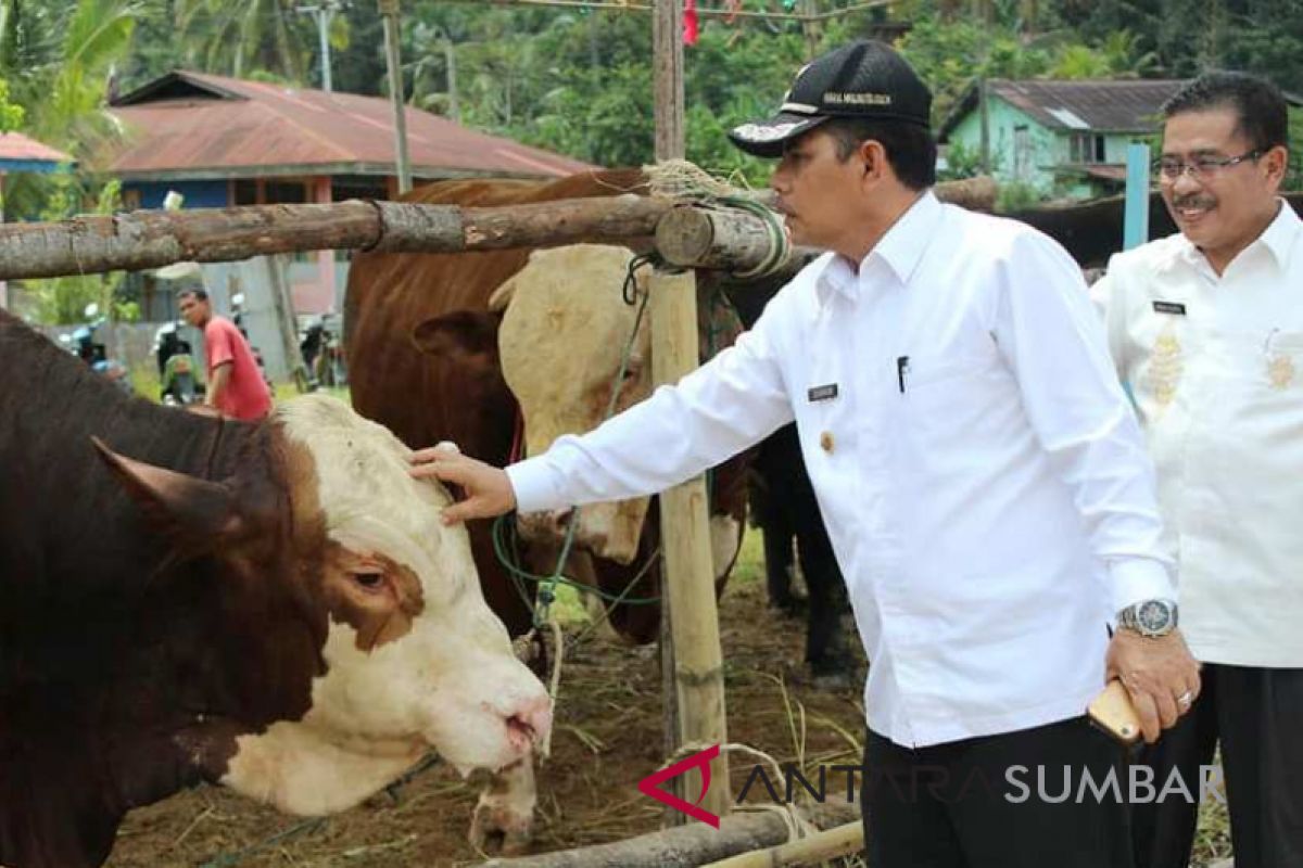 Pemkot Solok gelar pameran ternak, ini sasarannya