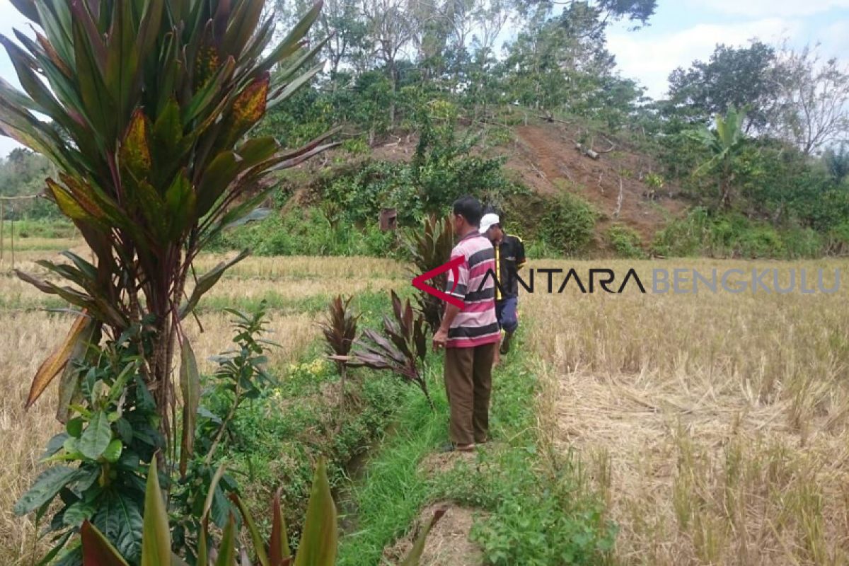 Komisi II segera tinjau sawah terancam kekeringan di Rejang Lebong