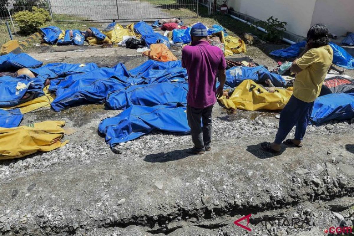 Tsunami di Pandeglang akibatkan 35 orang meninggal