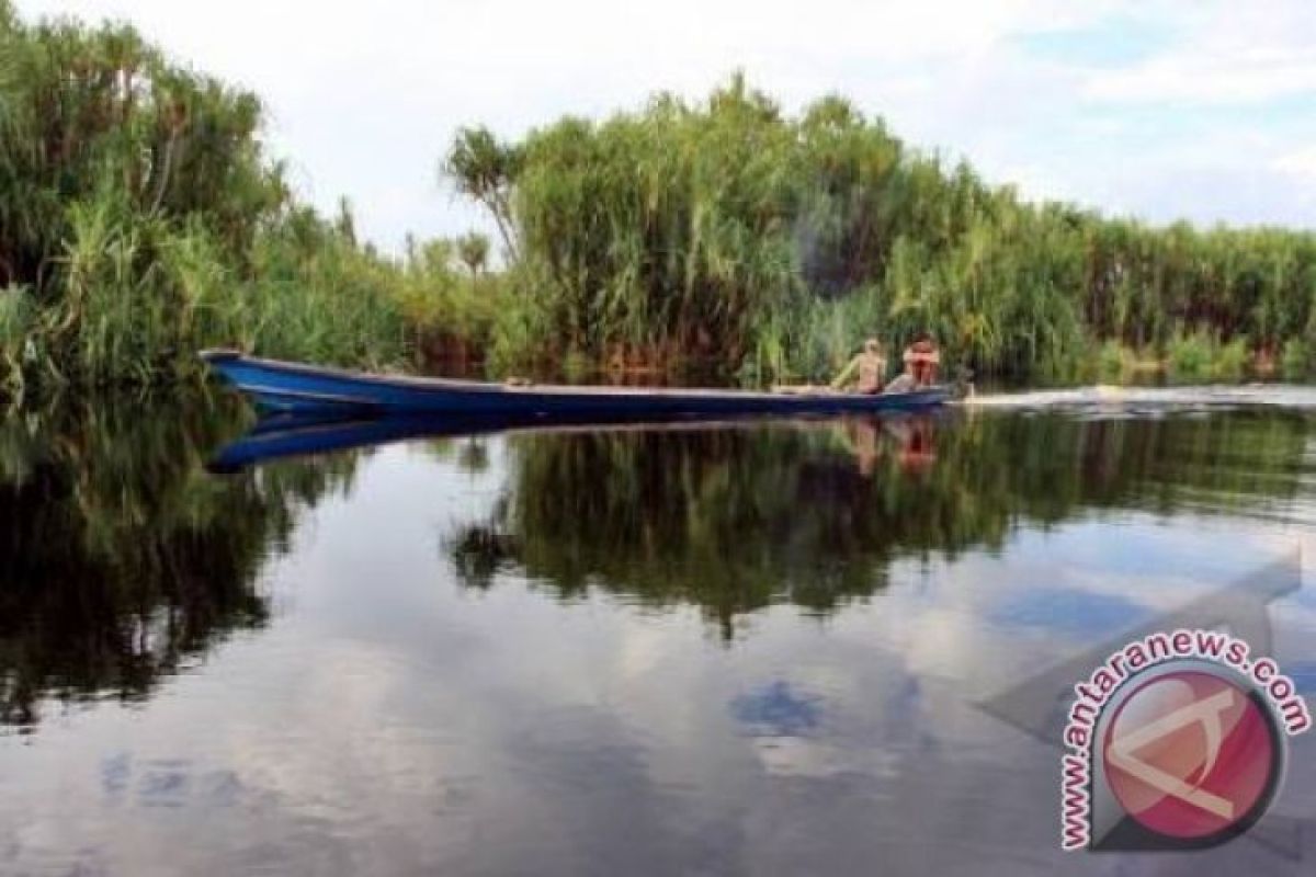 Gubernur pertimbangkan tutup sementara pariwisata Kalteng untuk orang asing