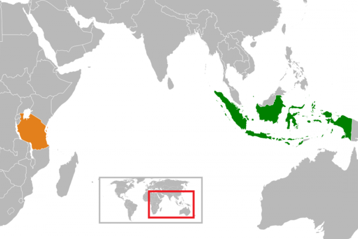 Indonesia siap bantu Tanzania menjadi berpenghasilan menengah