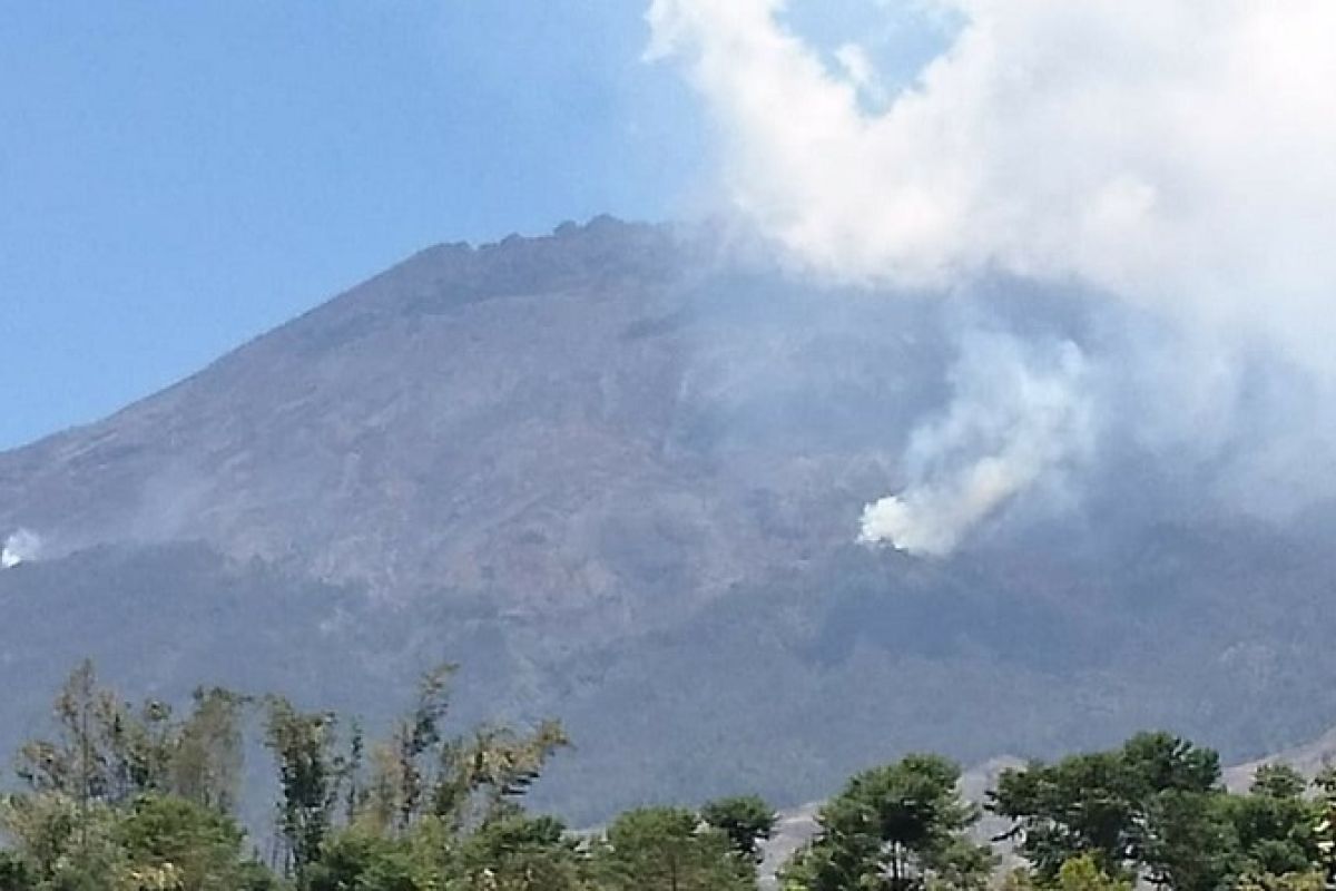 Titik api kembali muncul di hutan Gunung Sumbing