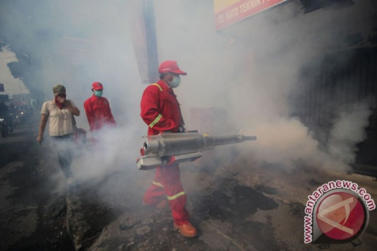 Minta fogging, ratusan warga Palanga Raya diserang DBD