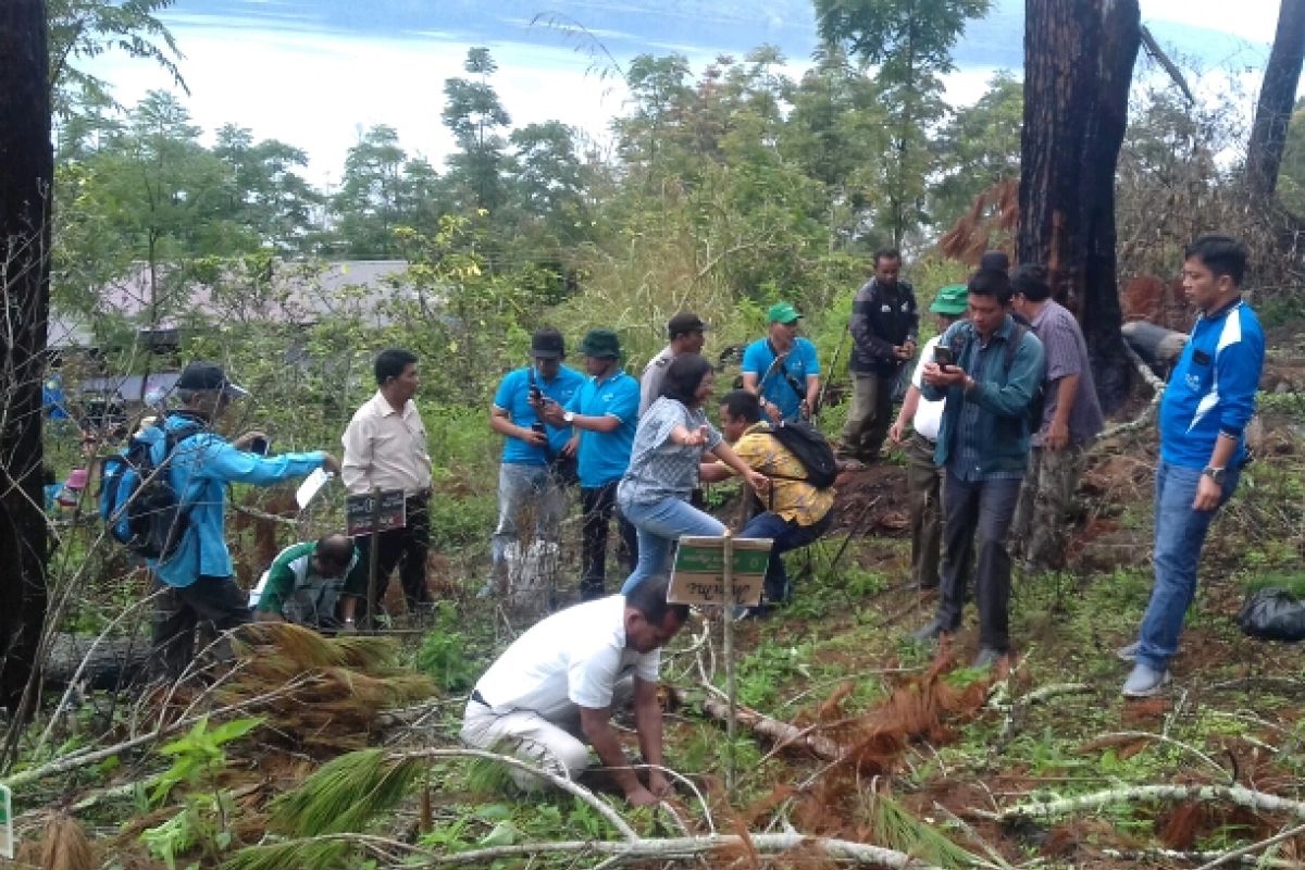 Bukit kritis Danau Toba ditanami pohon