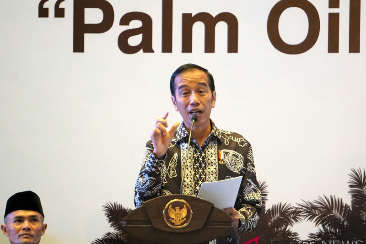 Jokowi calls for increase in palm oil production