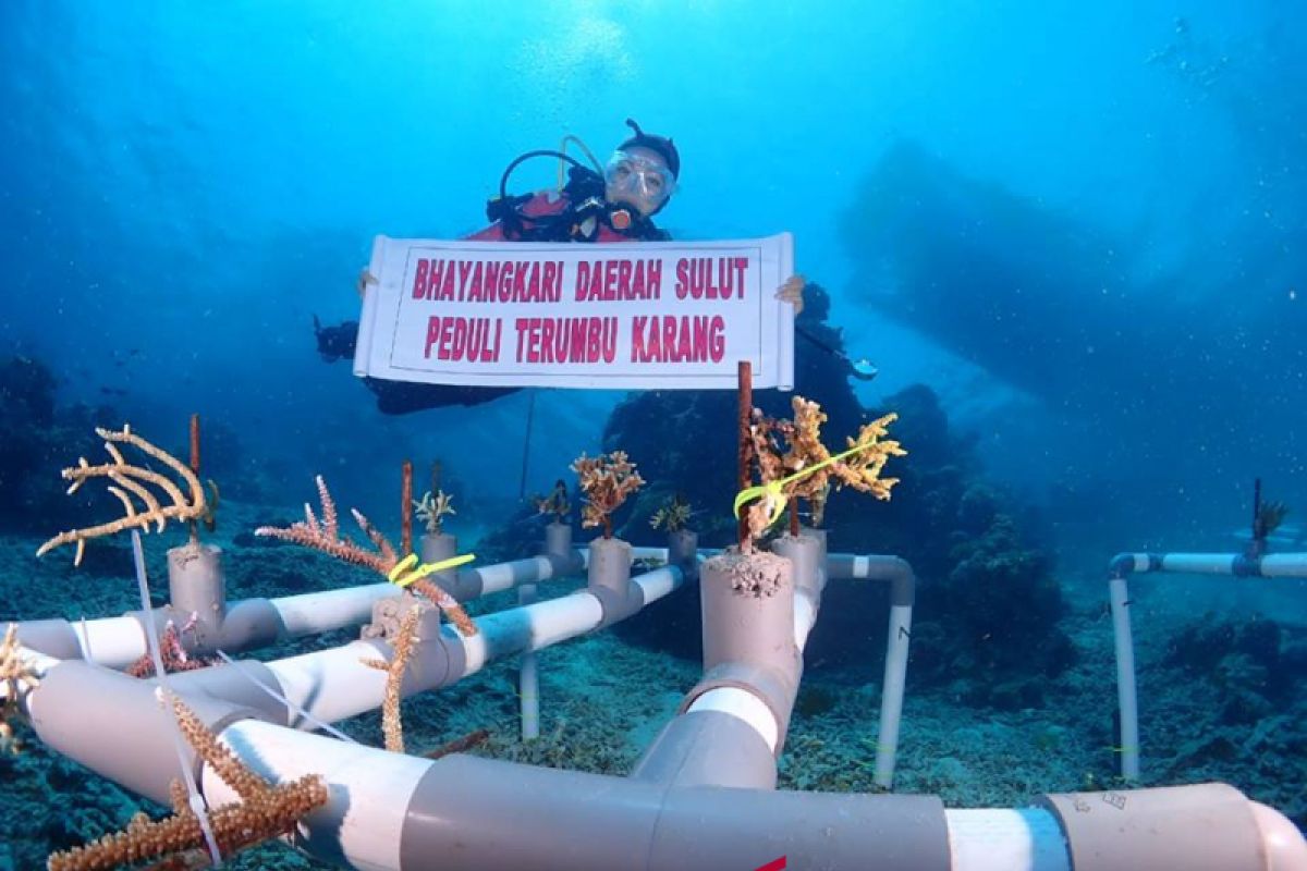 Bhayangkari Sulut Lakukan Transplantasi Karang di Tawara-Bunaken