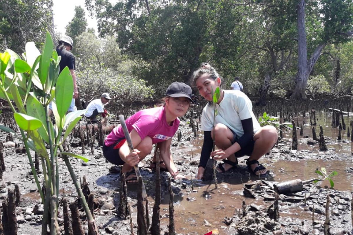 Manengkel Solidaritas-DKP-13 Organisasi Tanam Mangrove di Mokupa