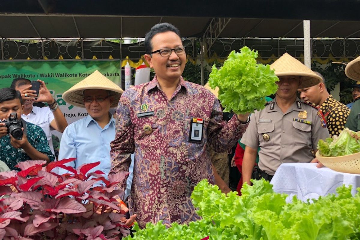 Yogyakarta gencarkan penerapan konsep pertanian perkotaan