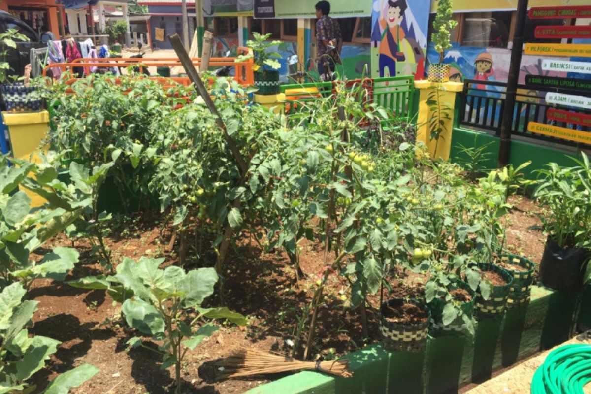 Kementan dorong produksi sayuran dari lahan pekarangan