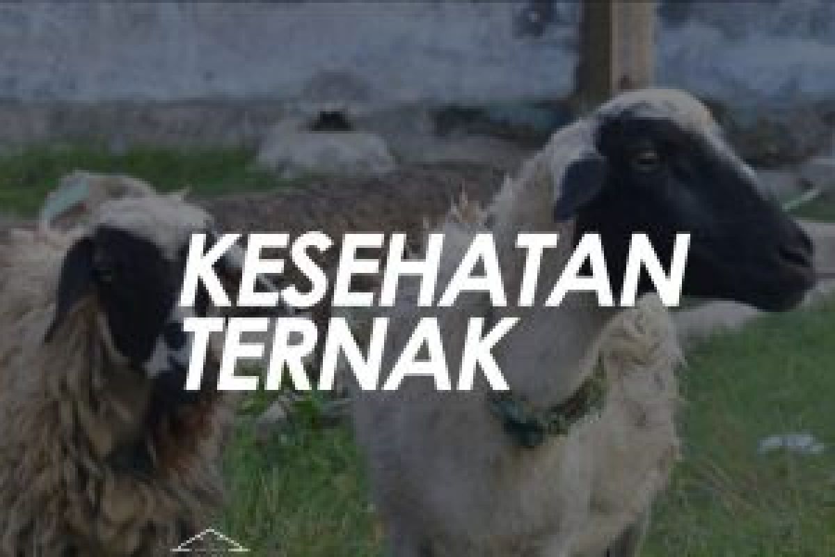 Raperda kesehatan hewan ternak Banjarmasin diapresiasi Kementan