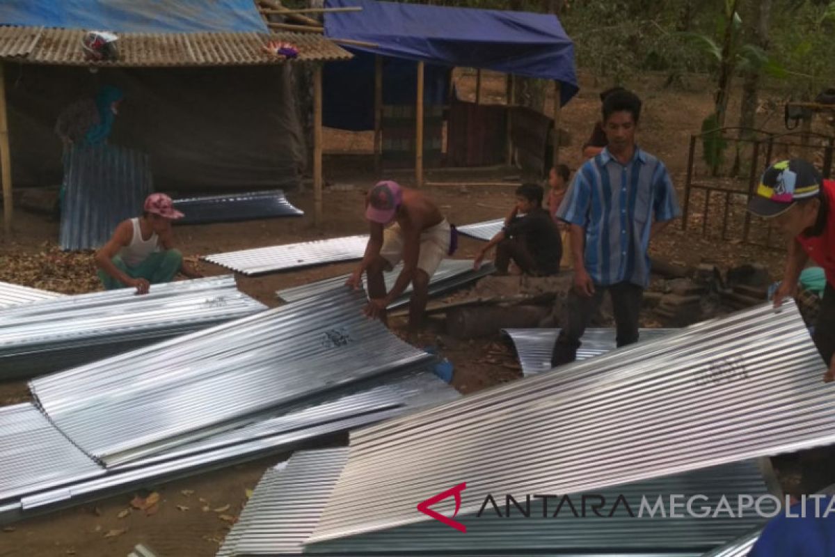 Korban bencana Lombok kembangkan usaha holtikultura
