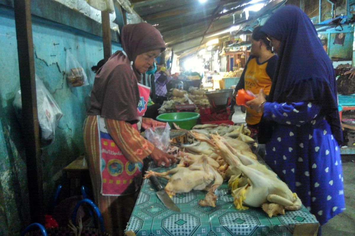 Harga Daging Ayam Potong di Bojonegoro Turun