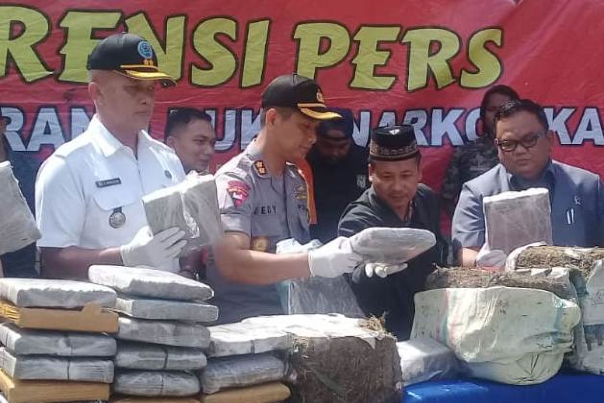 Polisi musnahkan barang bukti 183,6 kilogram ganja