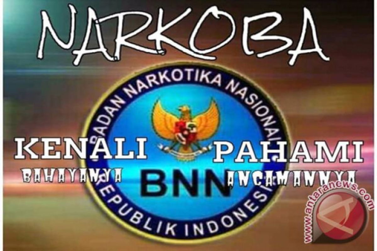 BNN Sumsel kembangkan penangkapan kurir jaringan Batam