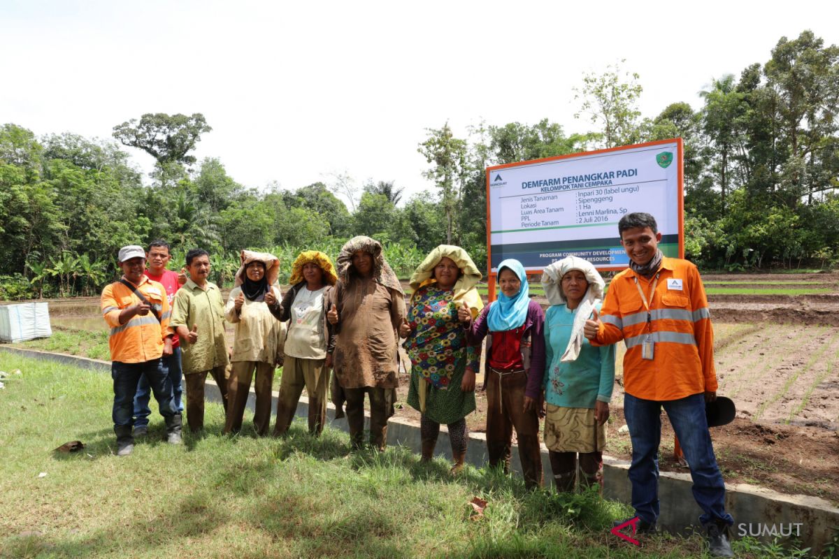 Tambang Emas Martabe kontribusi nyata untuk pembangunan Sumatera Utara