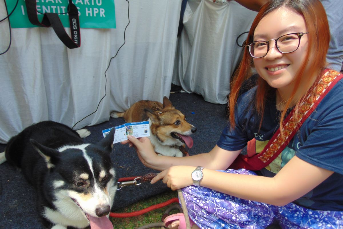 DKI gencar sosialisasi pemasangan mikrocip pada anjing