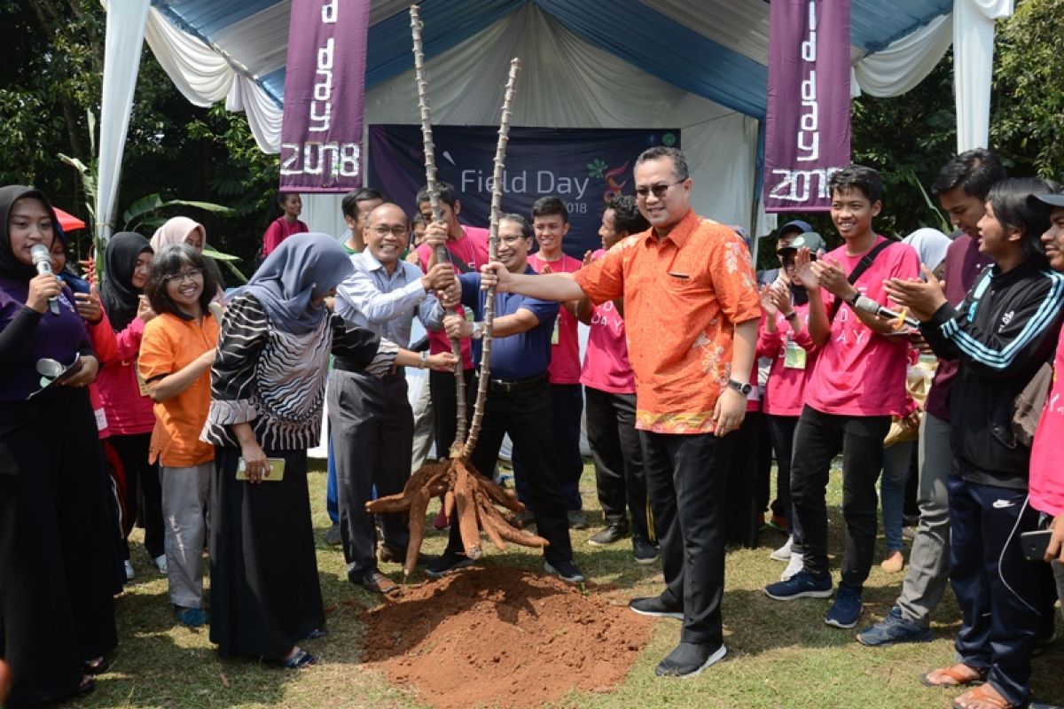 Tingkatkan peran umbi-umbian di Indonesia, mahasiswa IPB gelar Field Day 2018