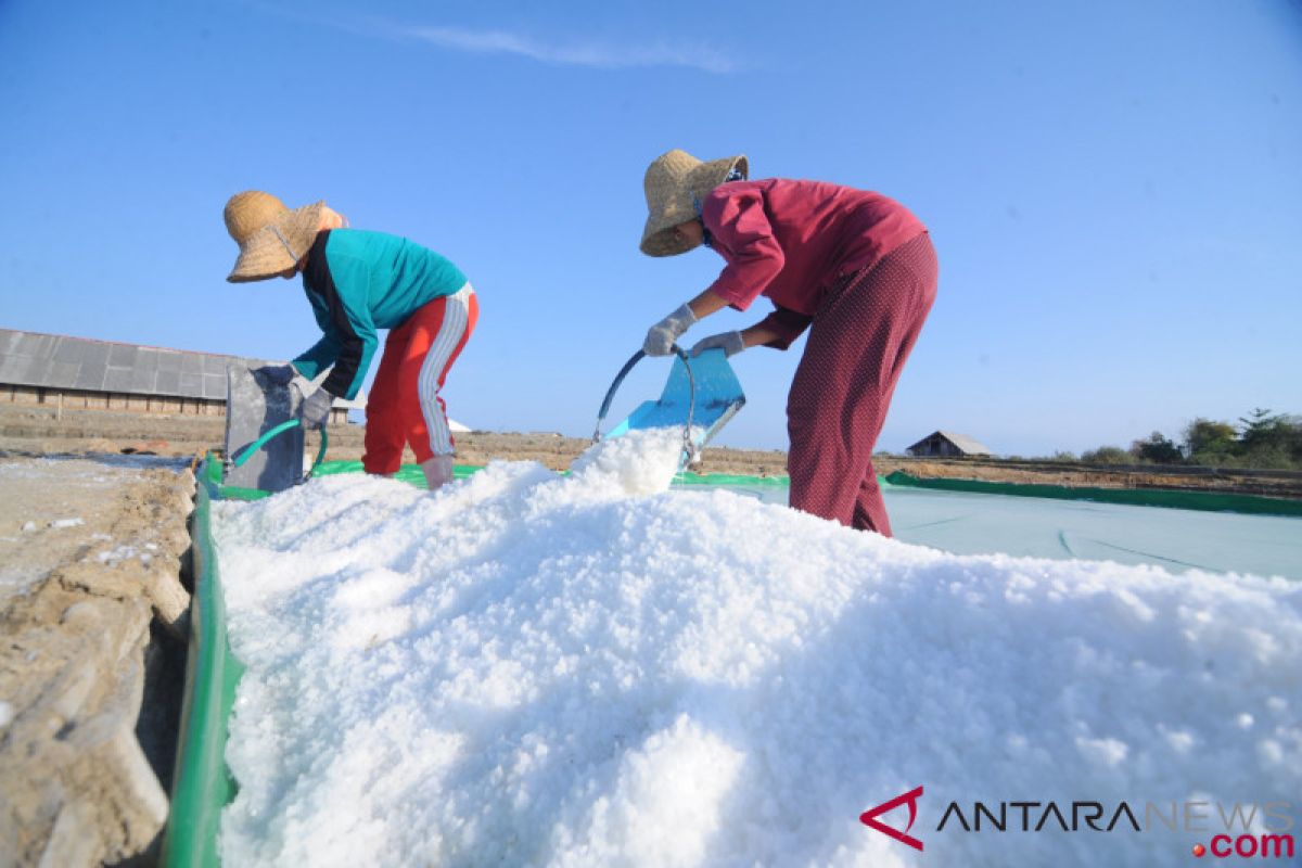 Jangan lupakan garam dalam poros maritim