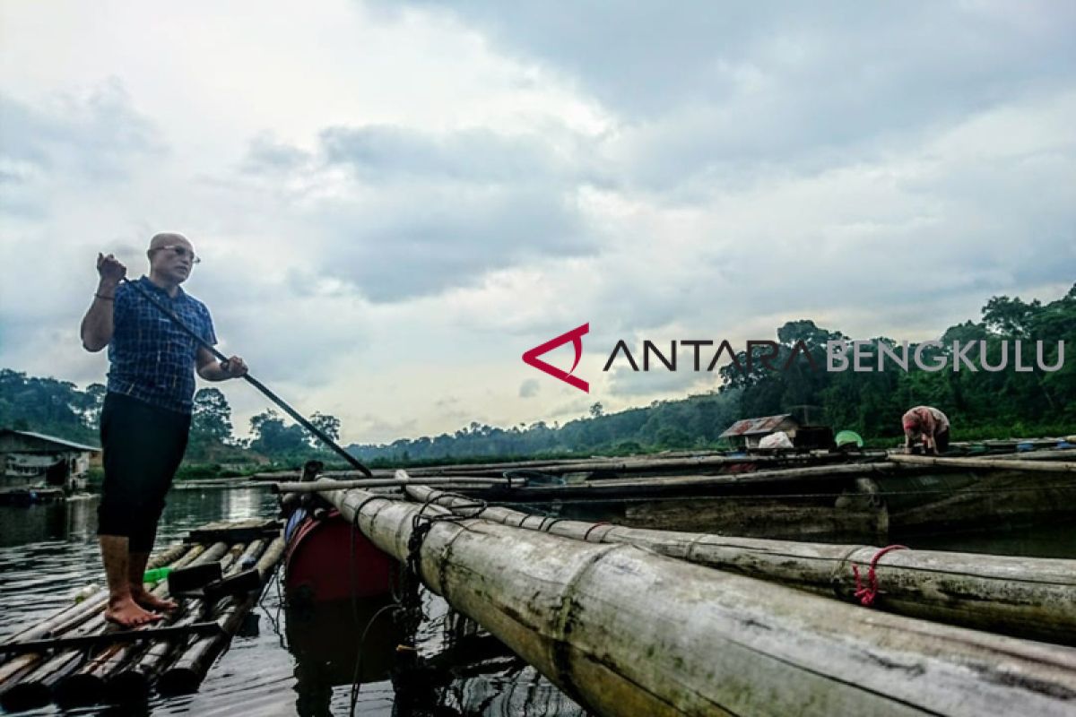 Potensi perikanan air tawar Bengkulu Selatan menjanjikan