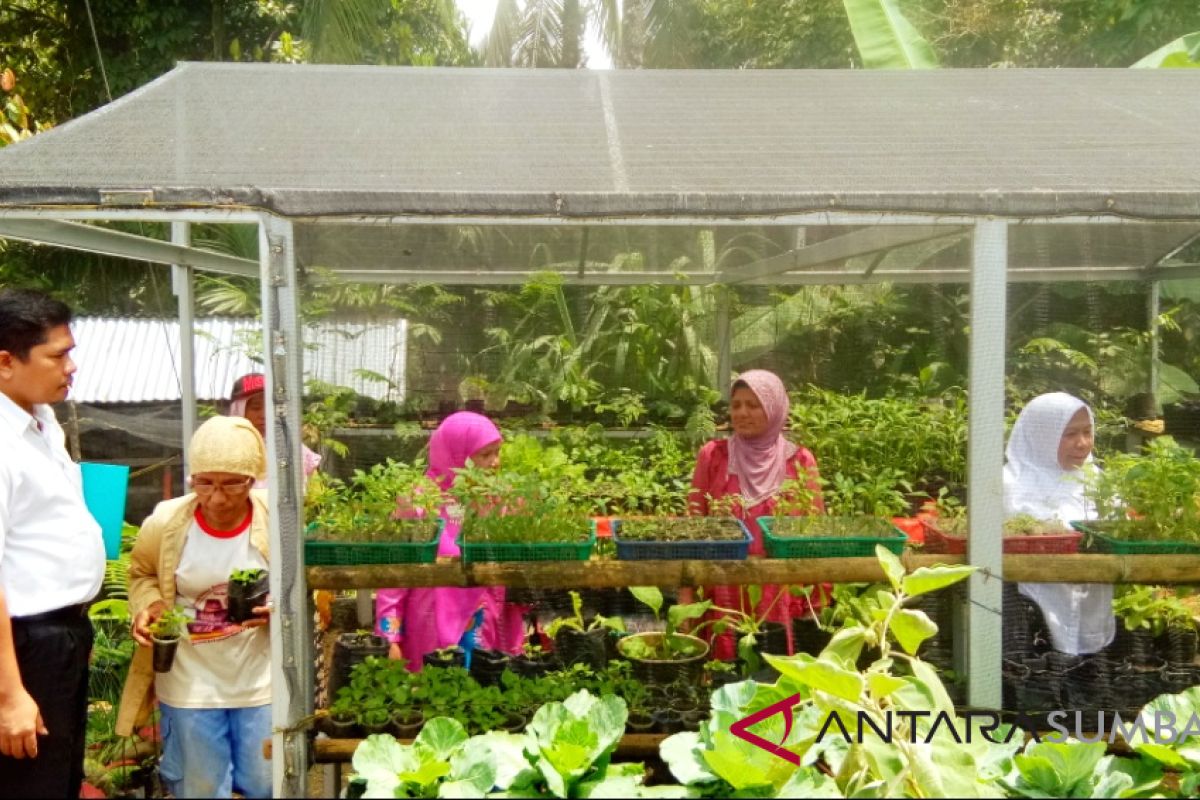 Pemkab Agam peroleh lima peket kawasan rumah pangan lestari dari Kementan