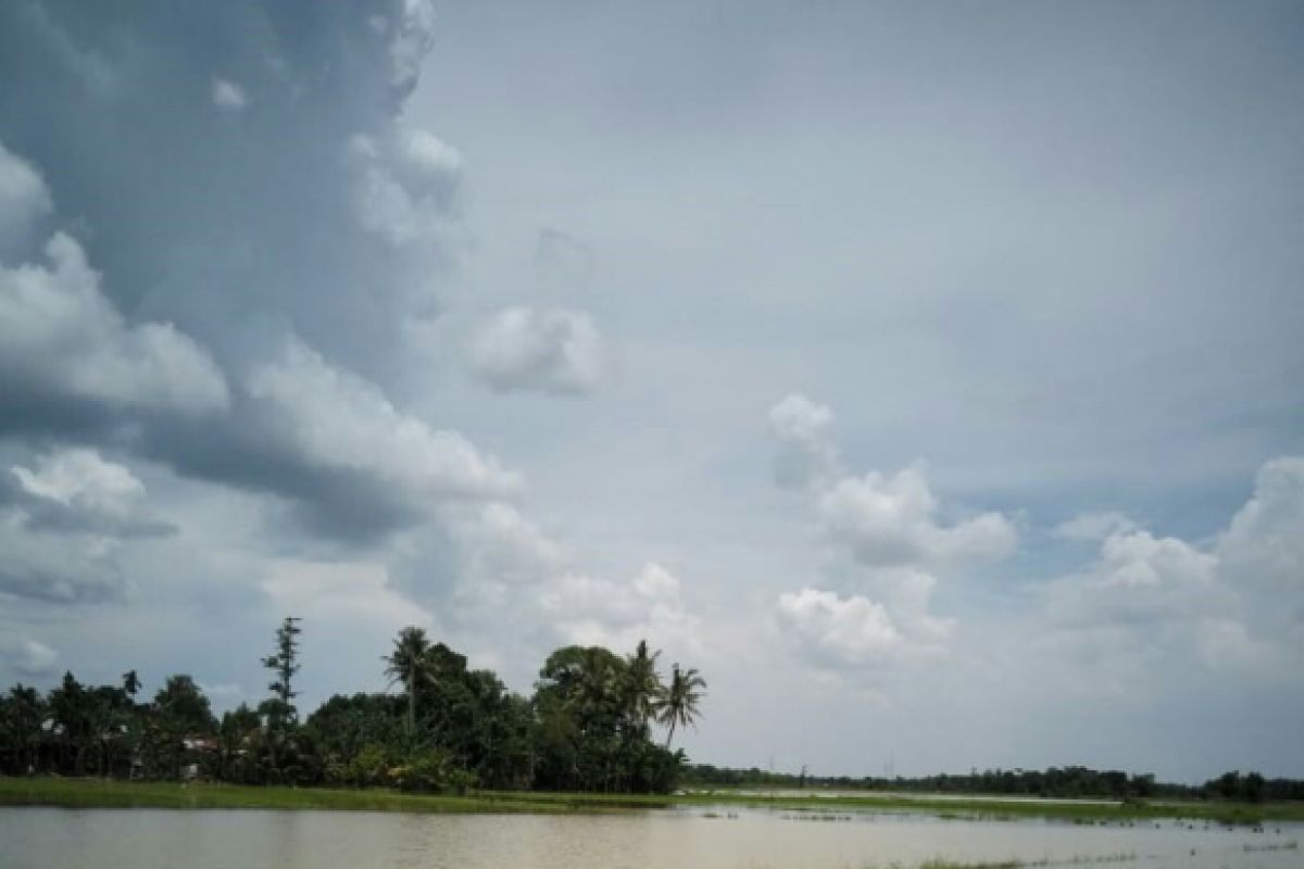 118 hektare tanaman padi terendam banjir