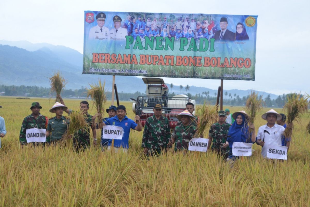 Bupati Bersyukur Petani Panen Tiga Kali Setahun