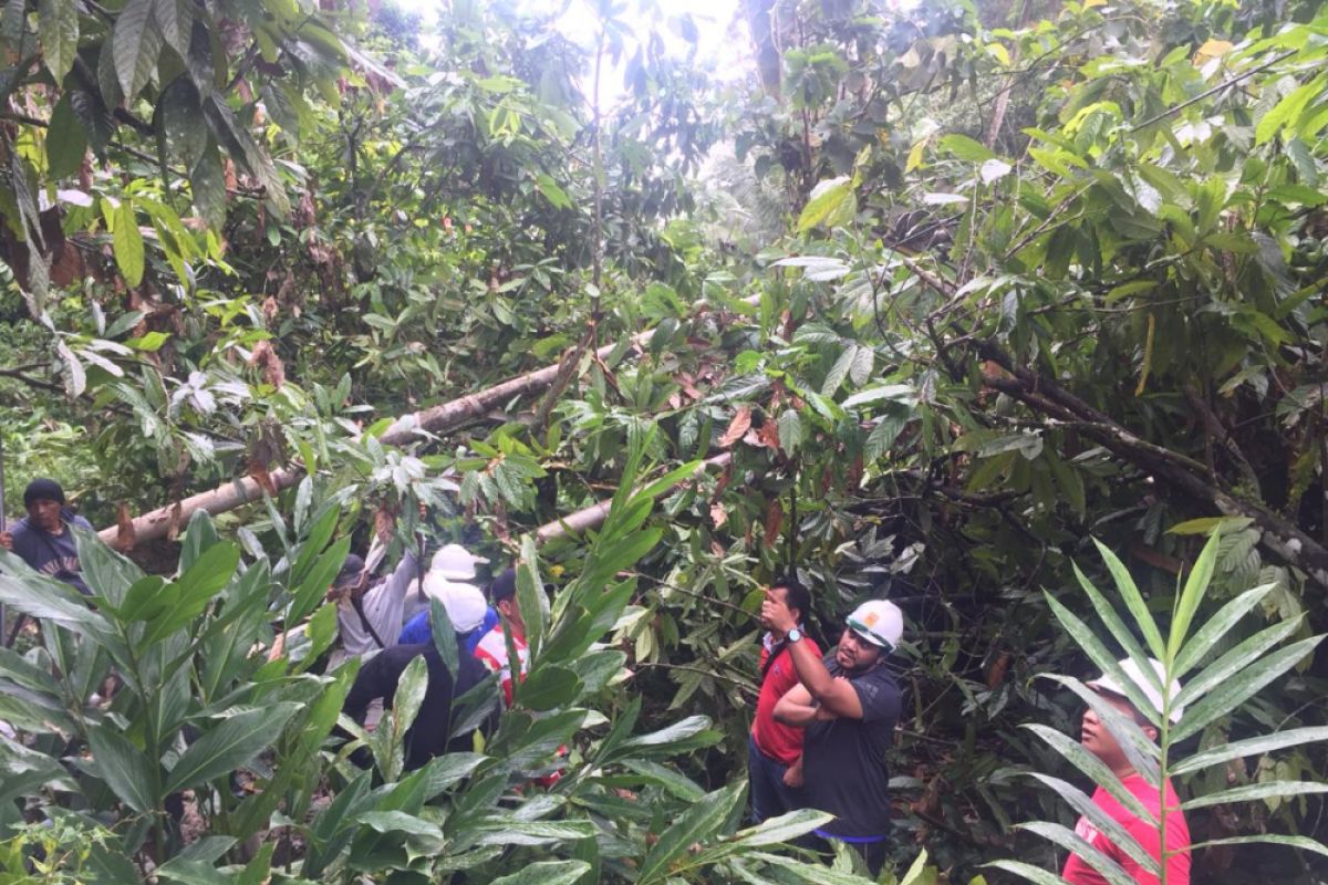 Tiga kecamatan di Singkil masih direndam banjir