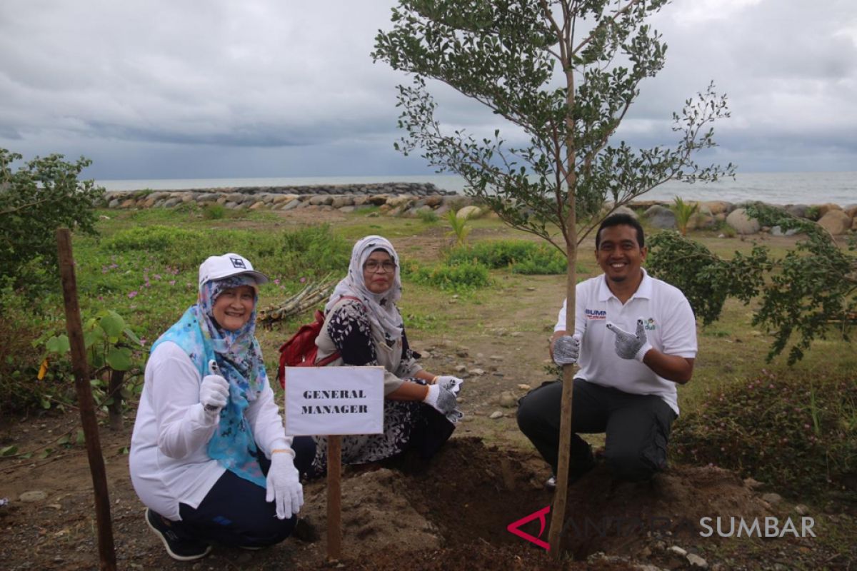 PLN lakukan penghijauan di pantai Cimpago