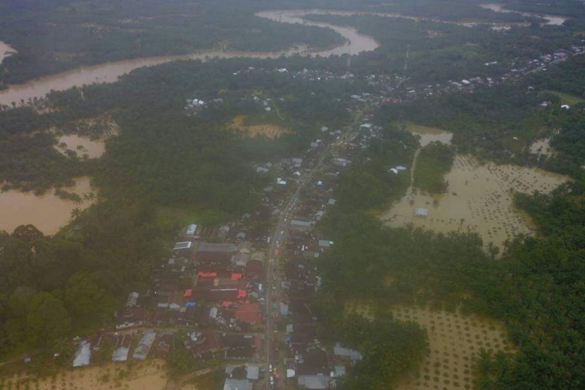 Banjir Pasaman Barat rusak ribuan hektare lahan pertanian