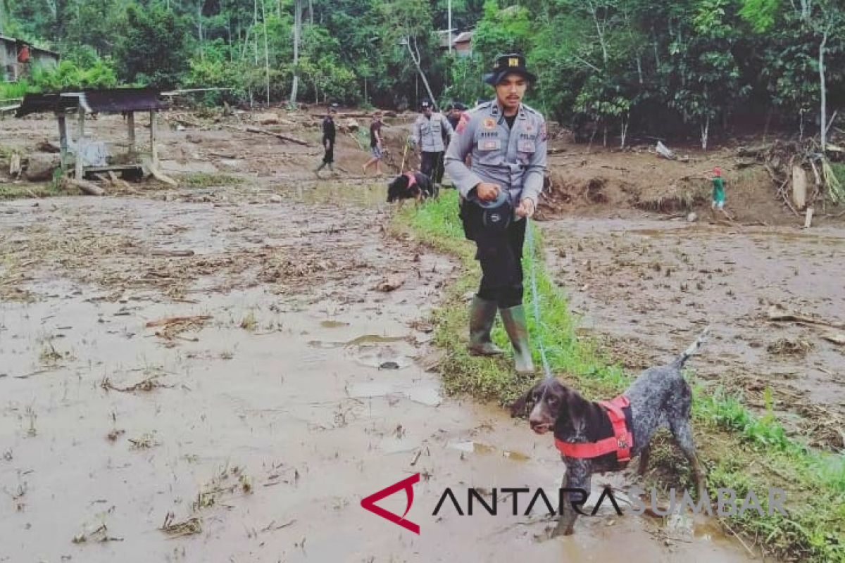 Petugas kerahkan anjing pelacak cari korban banjir bandang di Tanah Datar