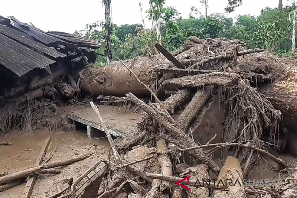 Penyebab banjir bandang Tanah Datar diduga akibat pembalakan liar