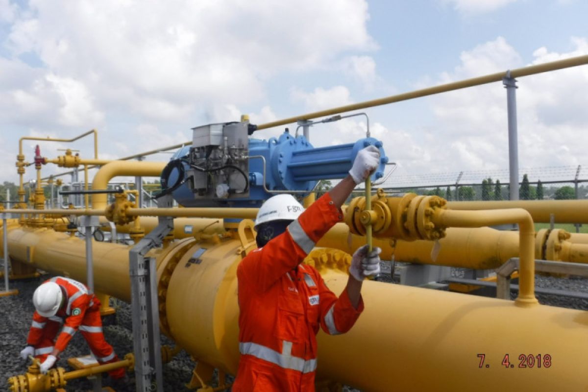 PGN commences 367-km crude oil pipeline construction in Rokan Block