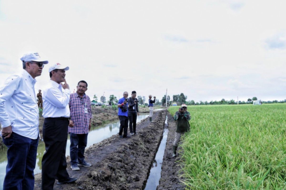 World Food Day momentum for Indonesia to become world's food barn