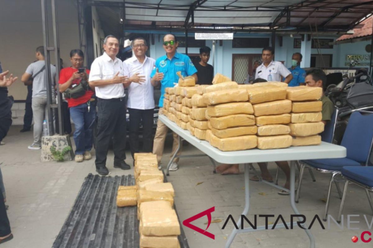 BNN mengamankan 250 kilogram ganja di Lampung Selatan