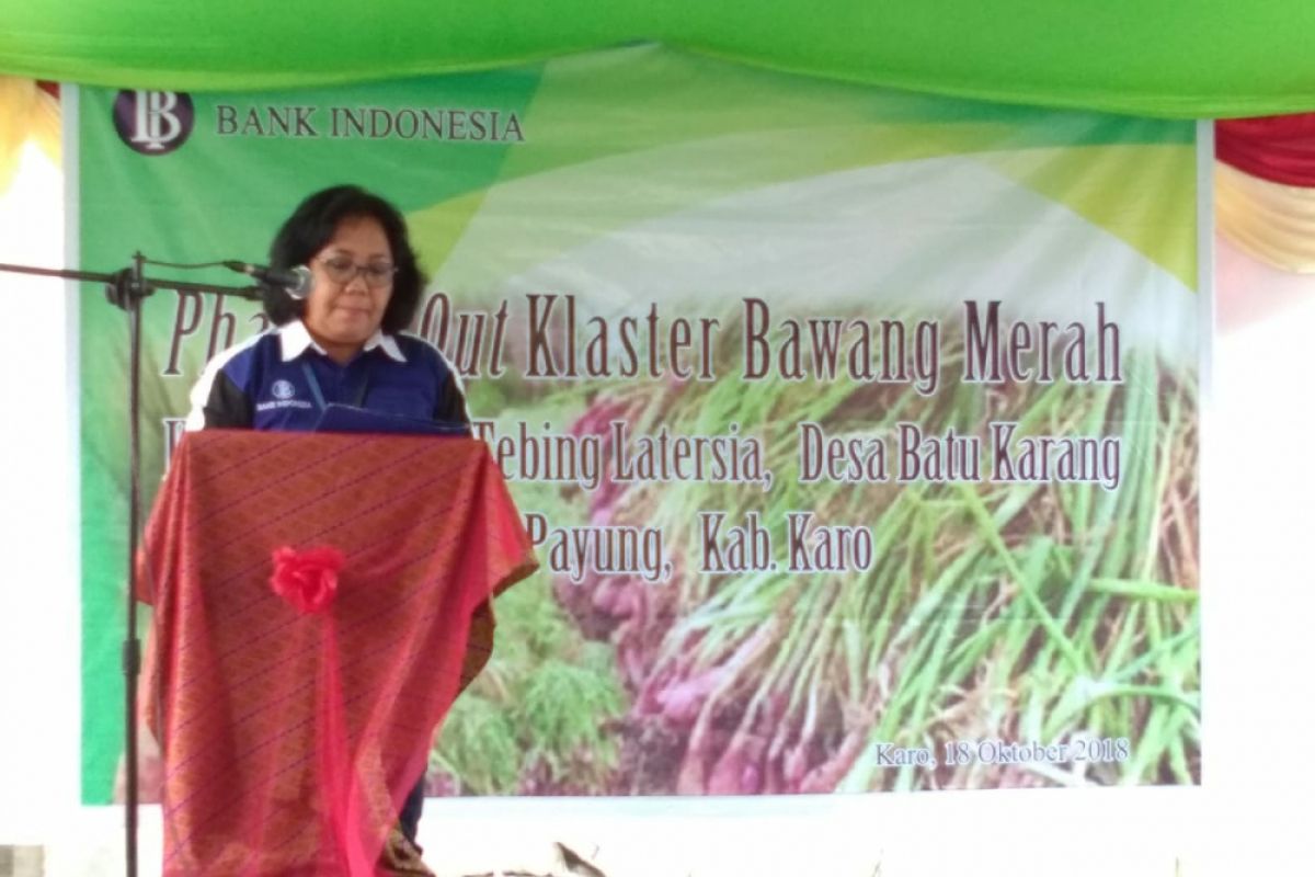Bank Indonesia diharap terus bina petani bawang