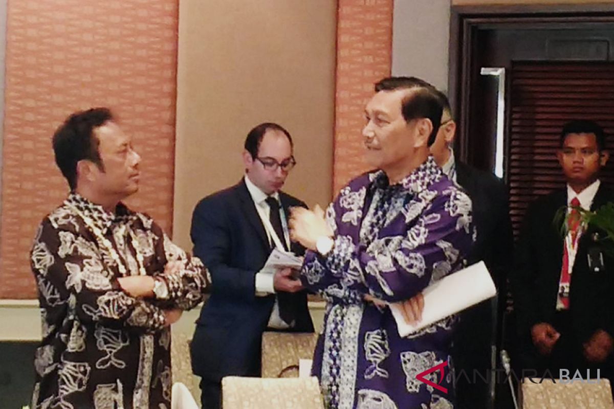 Luhut dorong aksi global untuk perubahan iklim