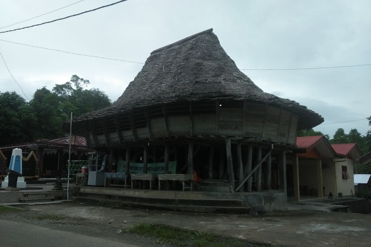 Pemkot Gunungsitoli renovasi rumah adat secara bertahap