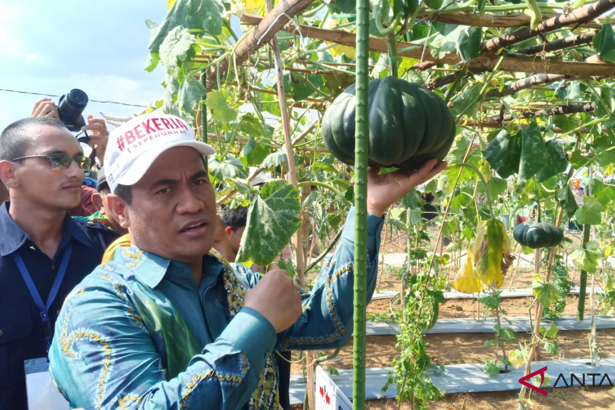 Mentan ingin 500 ribu hektar lahan digarap