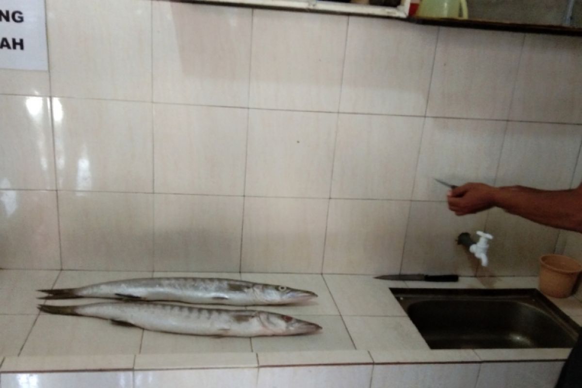 UKM Bantul olah ikan menjadi pempek