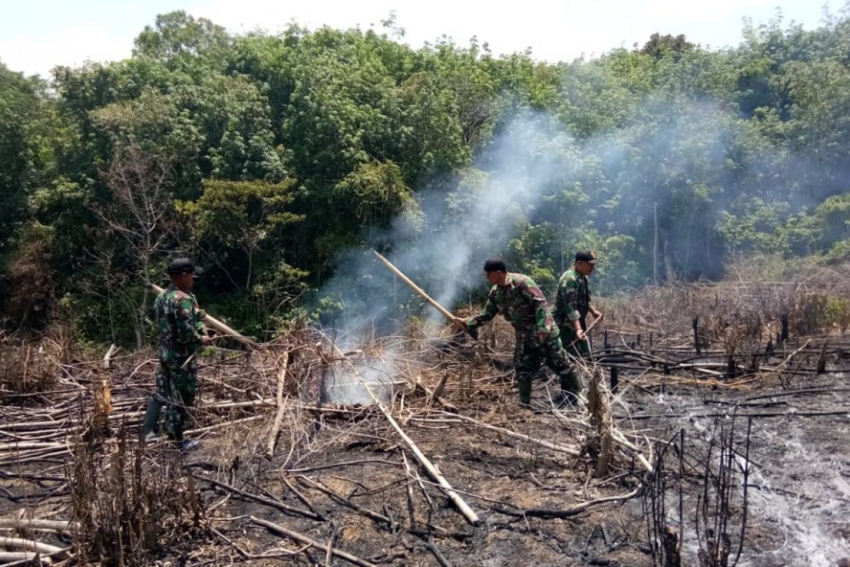 Kebakaran lahan landa Pegunungan Meratus HST