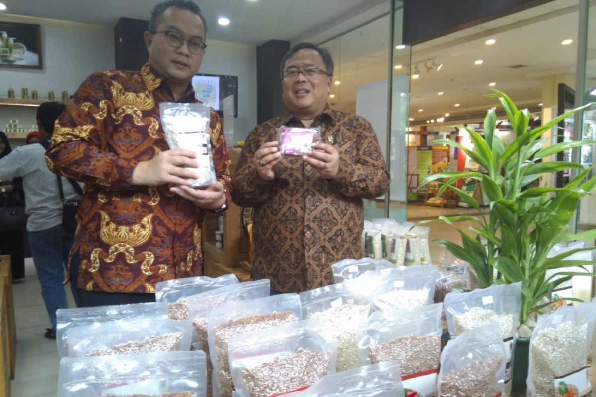 IPB kenalkan konsep Agro-Maritim 4.0